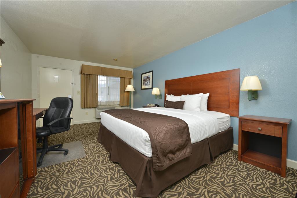 Best Western Regency Inn & Suites Gonzales Room photo